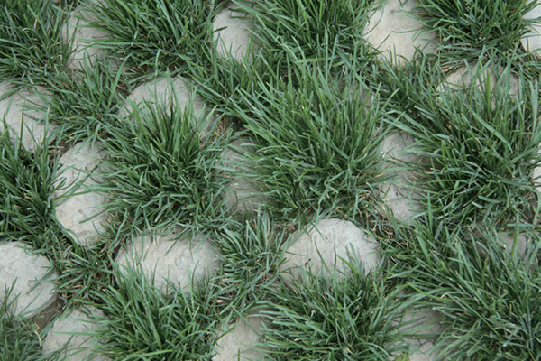 高承载植草地面